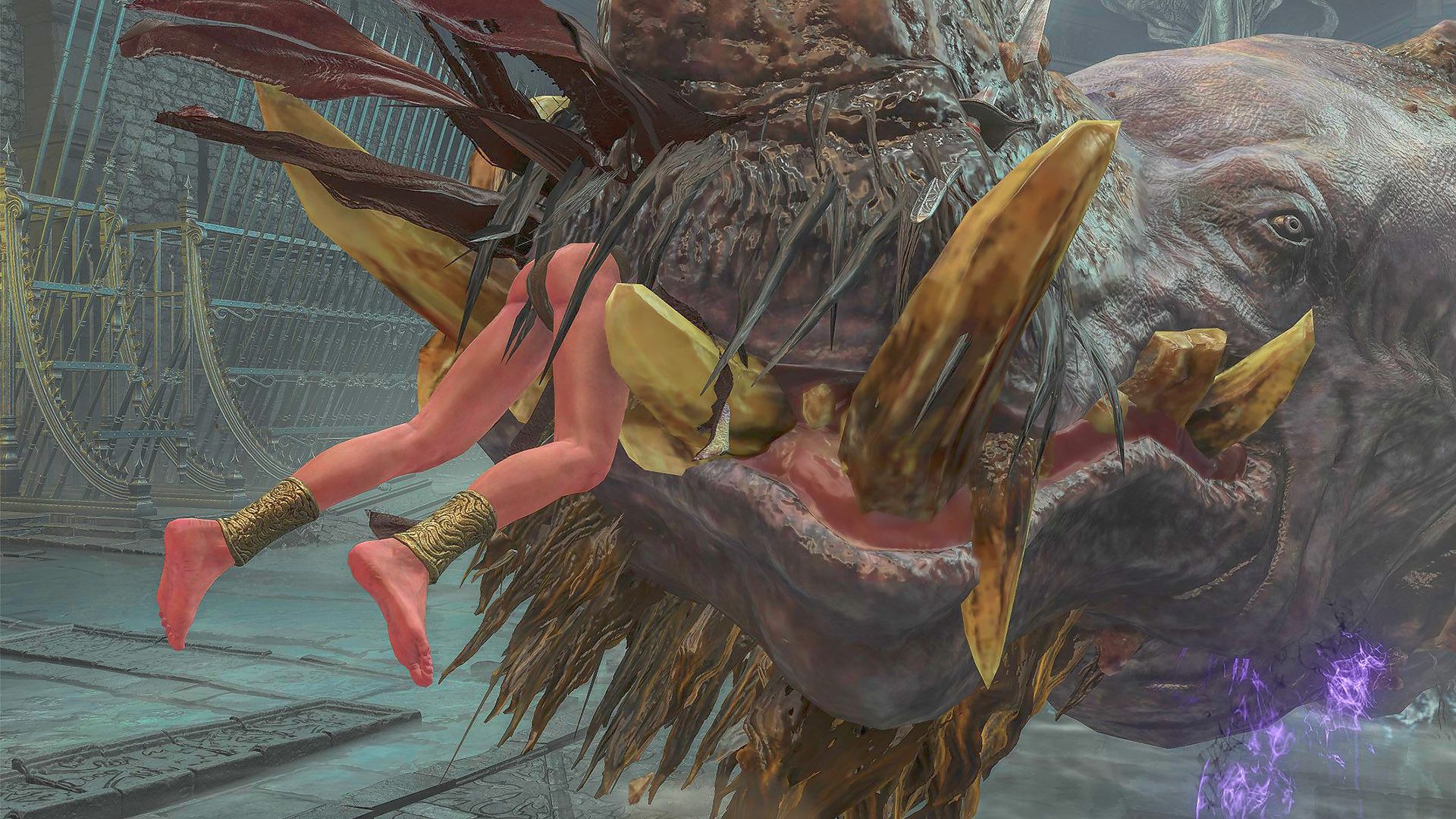 黄金河马都喜欢吃什么东西 艾尔登法环 黄金树幽影