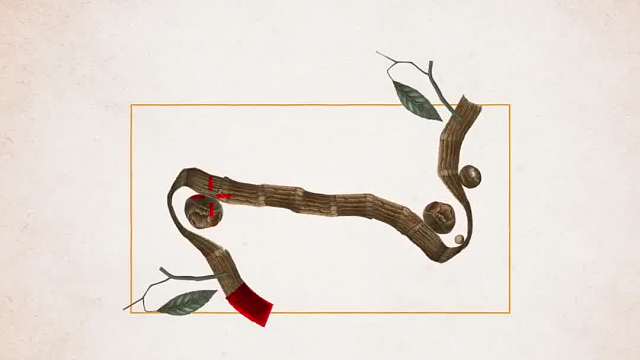 407. 世界上最大的花，恶臭无比，而且非常吓人！