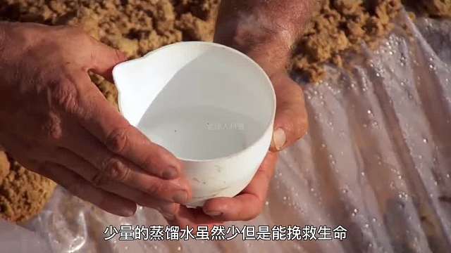 411. 如果你在森林里迷路了，应该如何自救呢？一定要看到最后