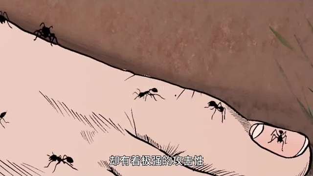 412. 当你在野外遭到了红火蚁的袭击，该如何自救呢？