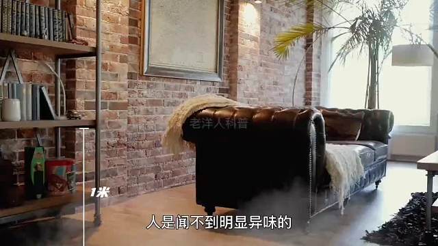 415. 隐藏在你家中的生化武器，一定要重视！