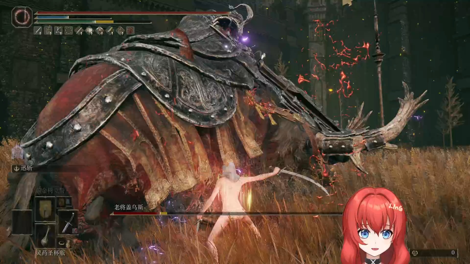 反手剑，无伤翻滚大fen猪 - 艾尔登法环DLC