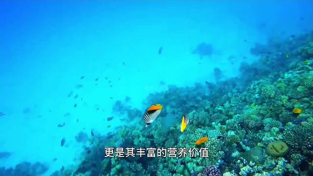 421. 你知道世界上最贵的鱼类都有哪些吗？最后一种真是太离谱了！