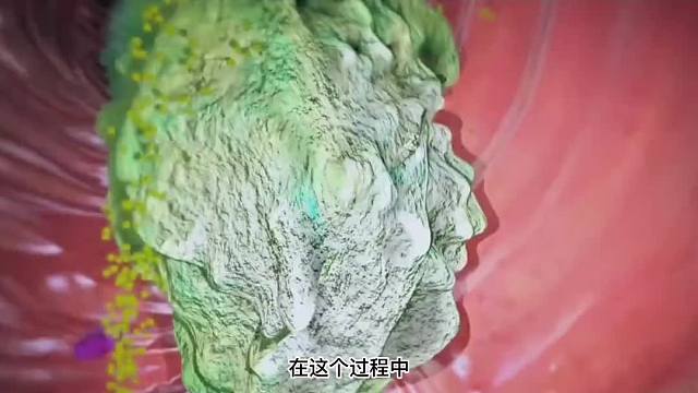 427. 你知道吃进你嘴巴里的食物，最终是怎样转变成奥利给的吗？一定要看到最后！