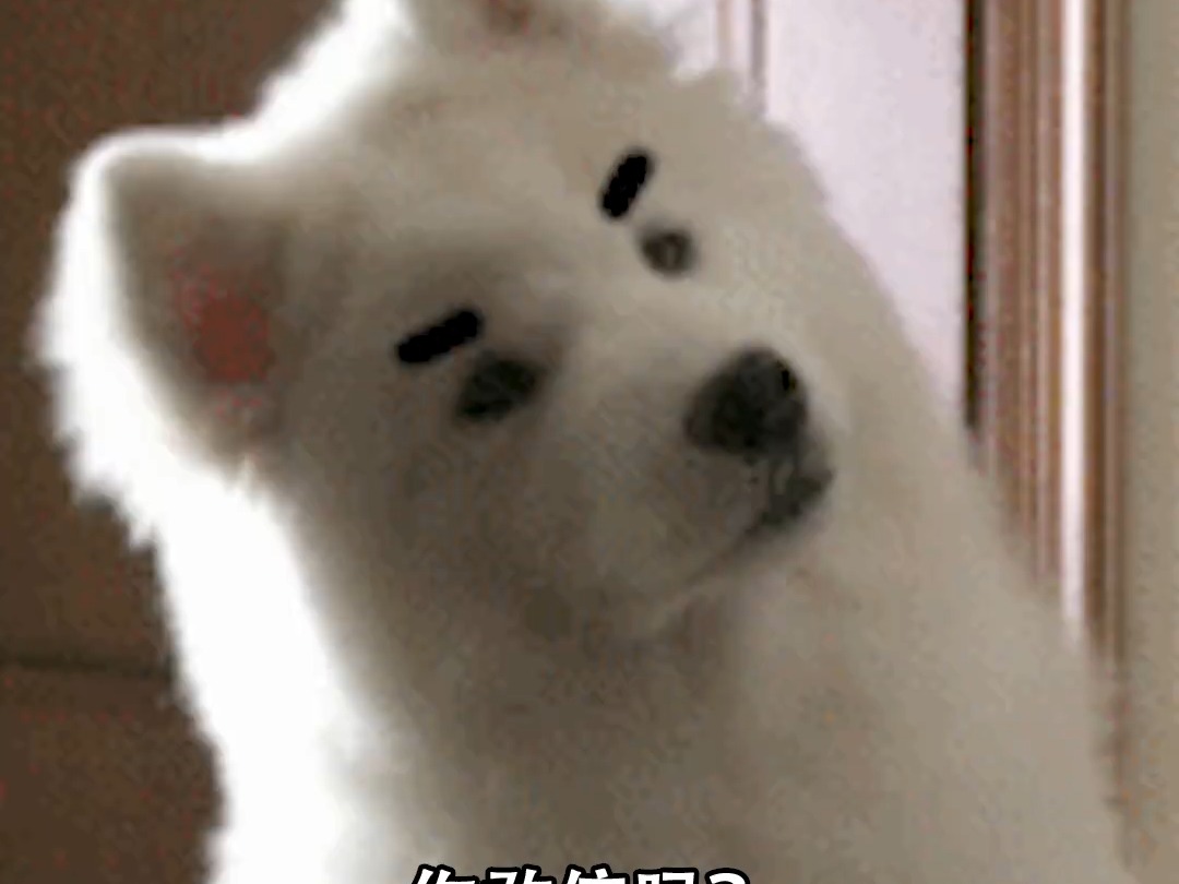 半年不到，这个派对游戏进化到能捉宠MOBA种菜了？#元梦之星 #游戏杂谈