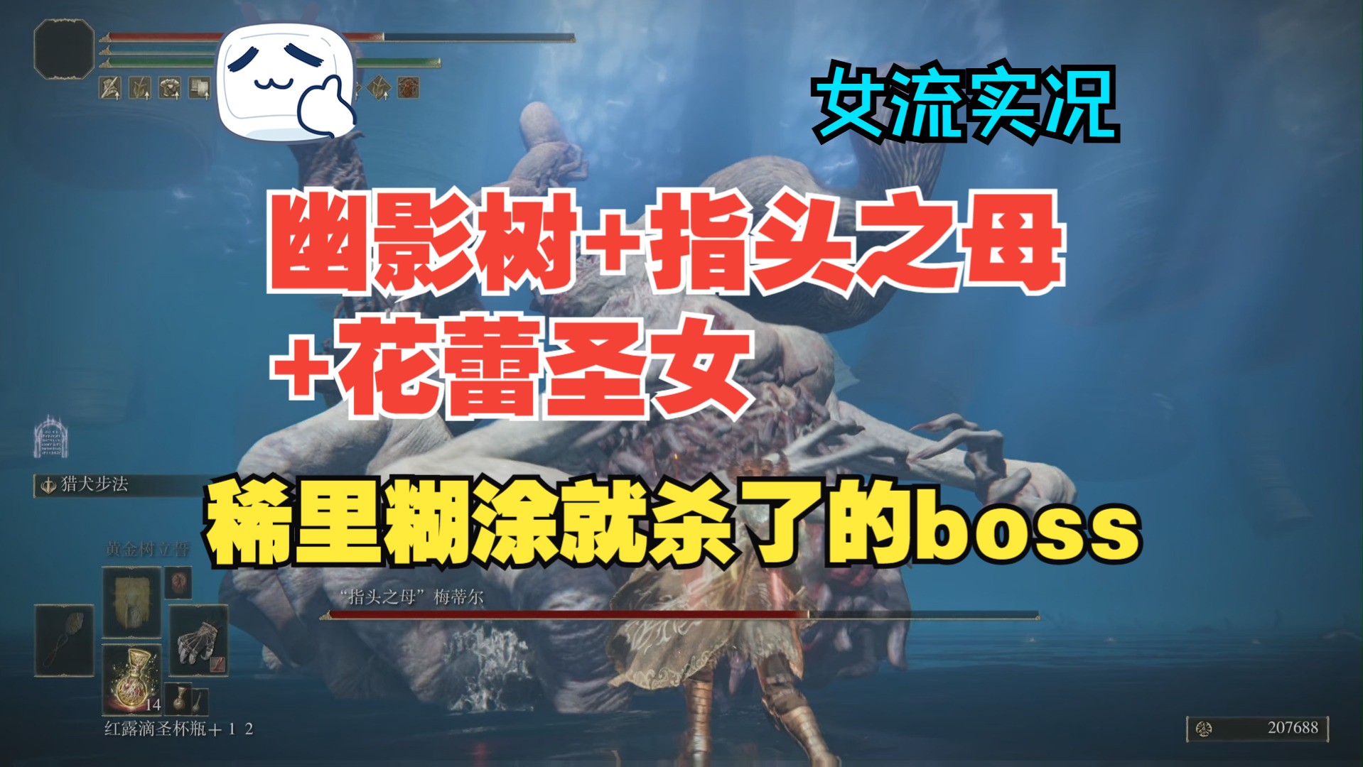 【女流老头环dlc实况 全程无骨灰】这仨boss完全没混熟就杀了