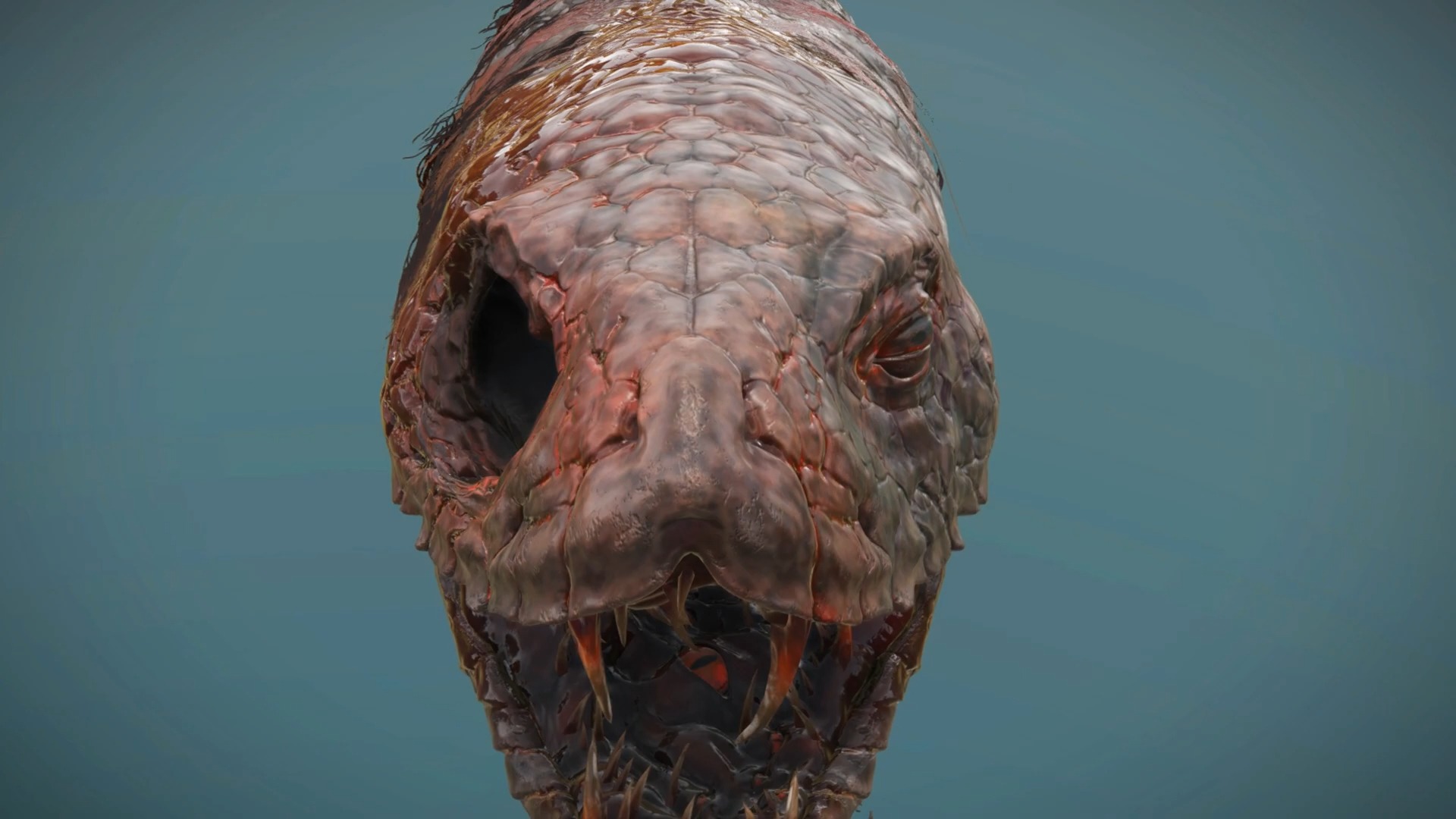 《艾尔登法环》梅瑟莫大蛇模型解包