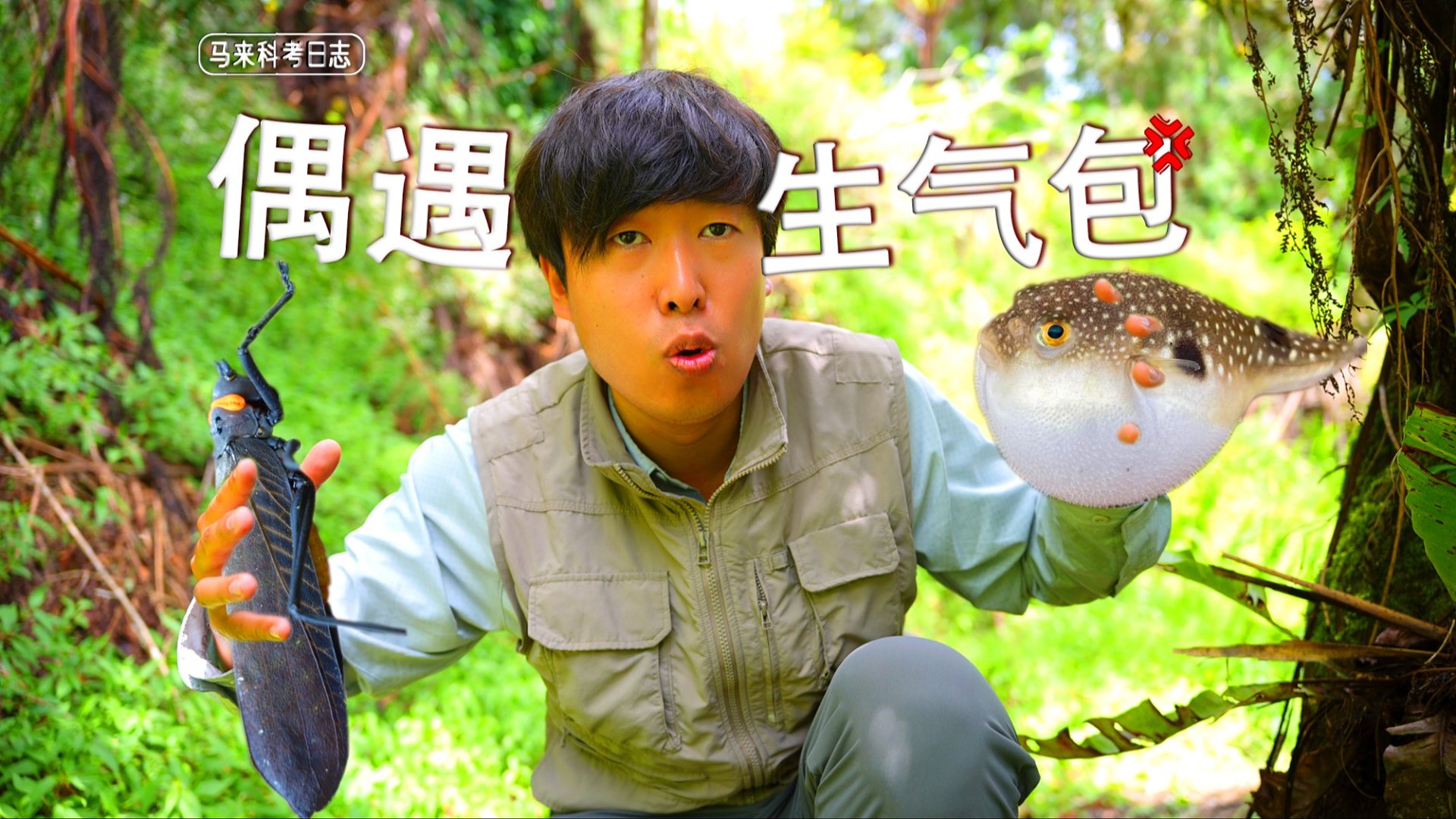 在Ta生气时一直调戏Ta会怎样，小小身体暗藏巨大玄机