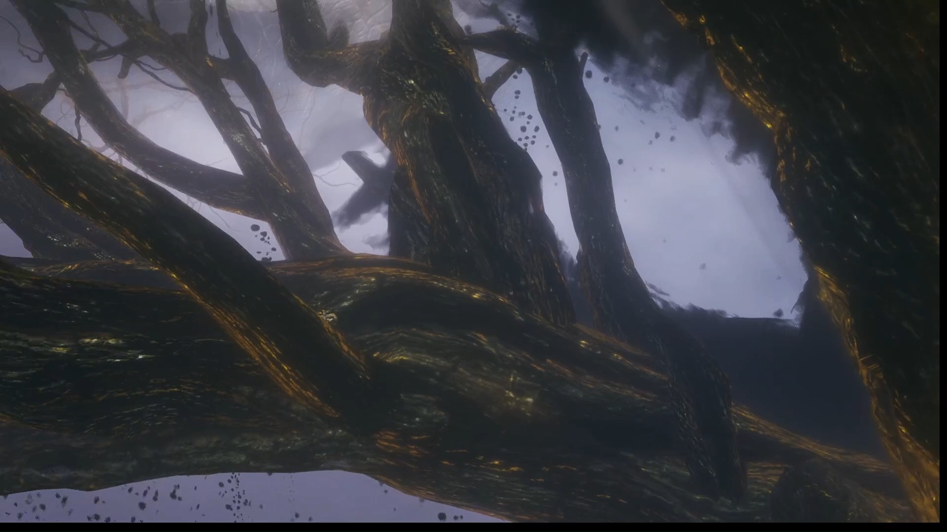 幽影之地的日落和月亮，以及幽影树的树冠