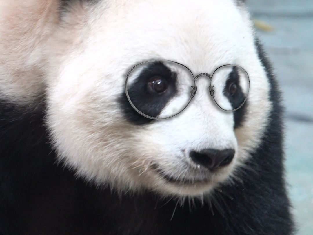 眼睛都瞪这么大了，怎么还找不到果果