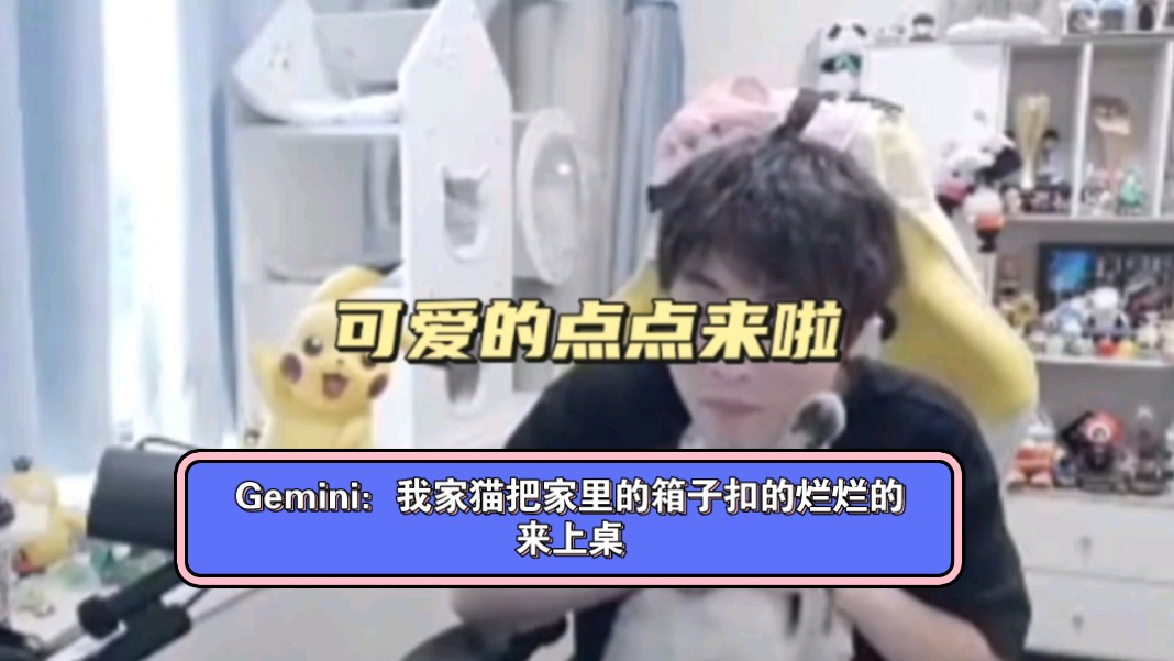 Gemini：我家猫把家里的箱子扣的烂烂的，来上桌！