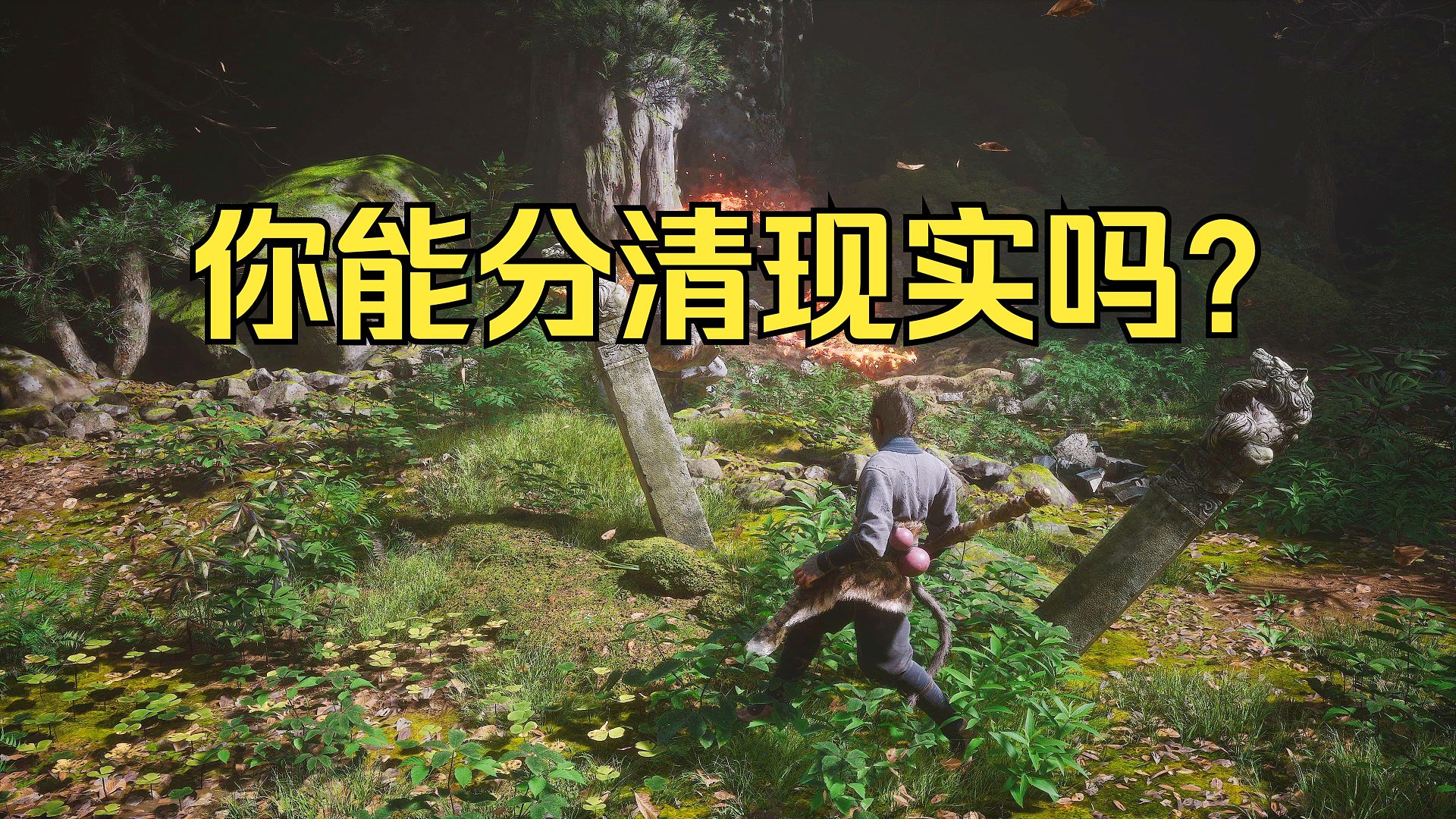 【杂谈】离谱罗小黑粉丝去游戏科学门口喷红漆，逆天营销号抹黑黑神话，游戏没有难度上热搜《糖九说2024