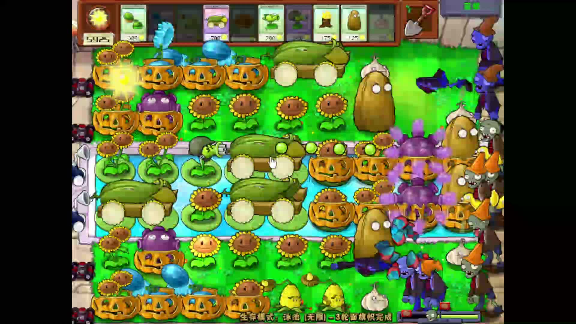 星夜徒弟的直播间-片段7