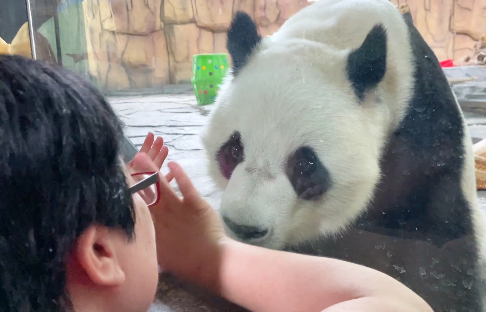 今天又是星巴愿随机“宠粉”的一天