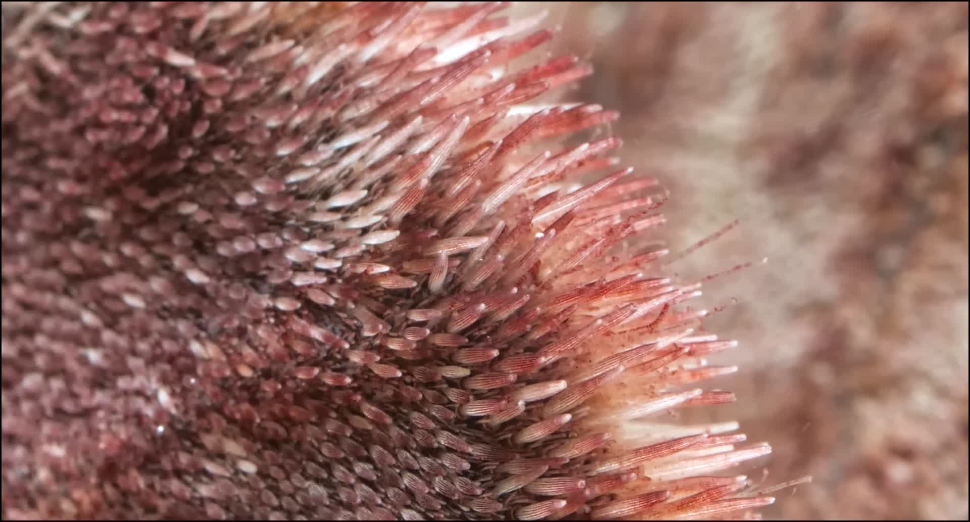 水底的这些生物你认识吗