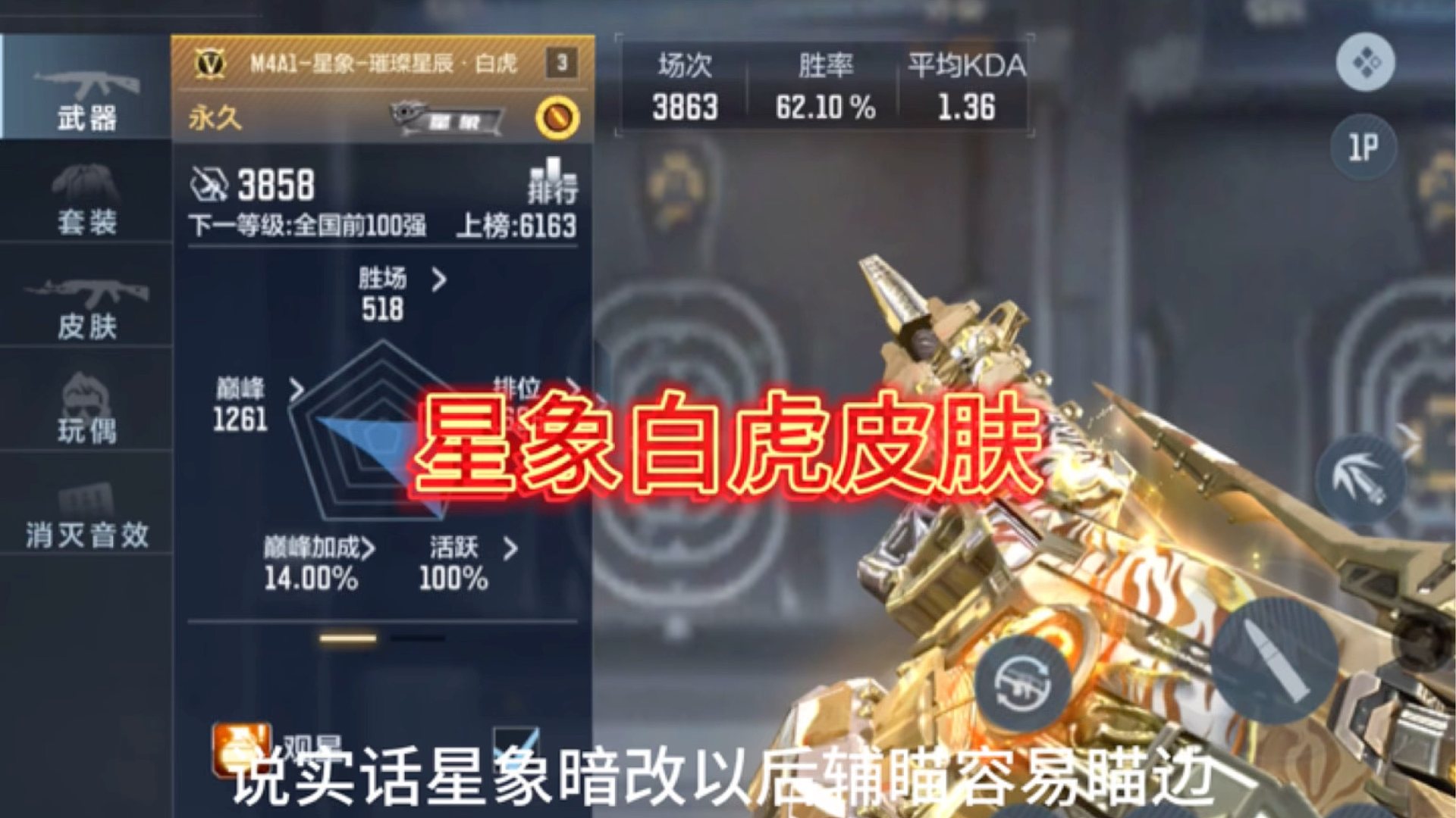 星象作为首款辅瞄武器现在带上皮肤会是怎么样的表现？