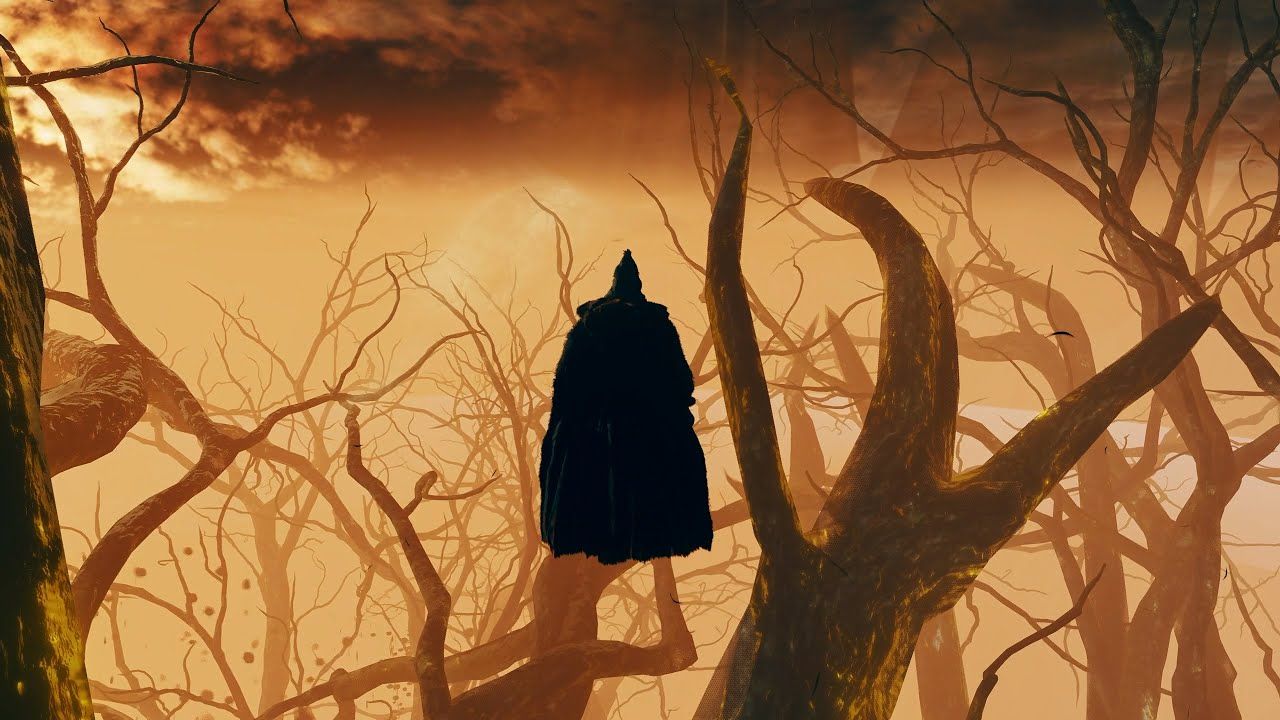 法环：探索幽影树内部