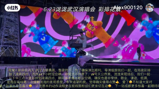 准确来说 是前一天从下午三点一直不间歇彩排到凌晨四点 当晚19点又正式开唱3个半小时 做唱跳歌手很多