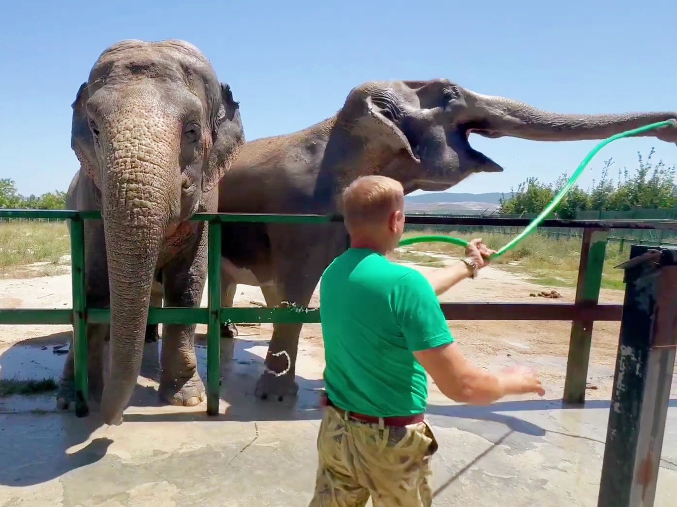 大象：园长爸爸，你的水管归我啦！
