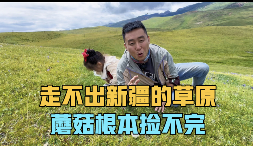 新疆的蘑菇根本捡不完，一家三口走不出草原，被邀请到牧民家喝茶