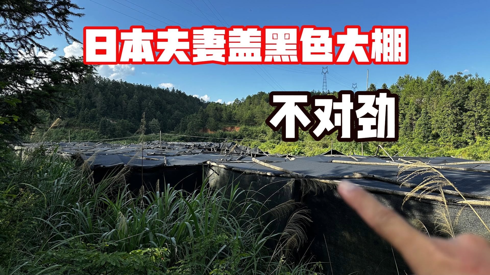日本夫妻在广西盖60亩黑色大棚，全村人发现不对劲，拍给大家看看