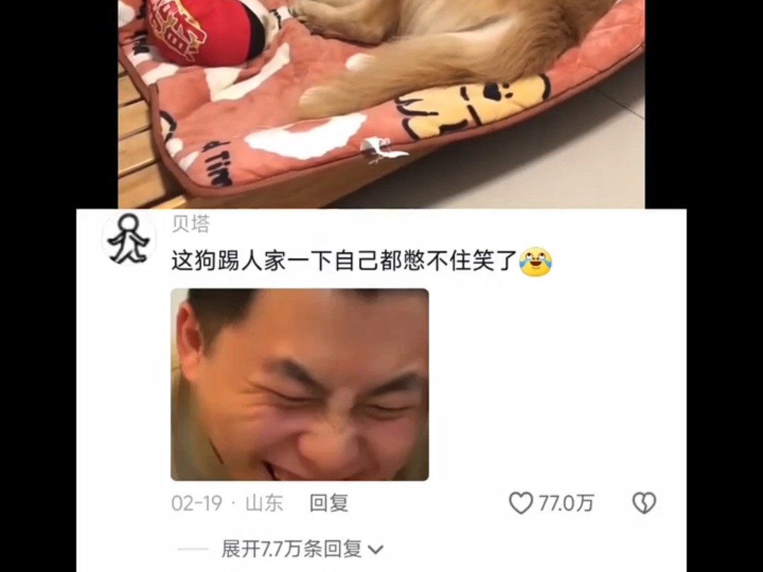 那些网友的神级评论，笑鼠我了