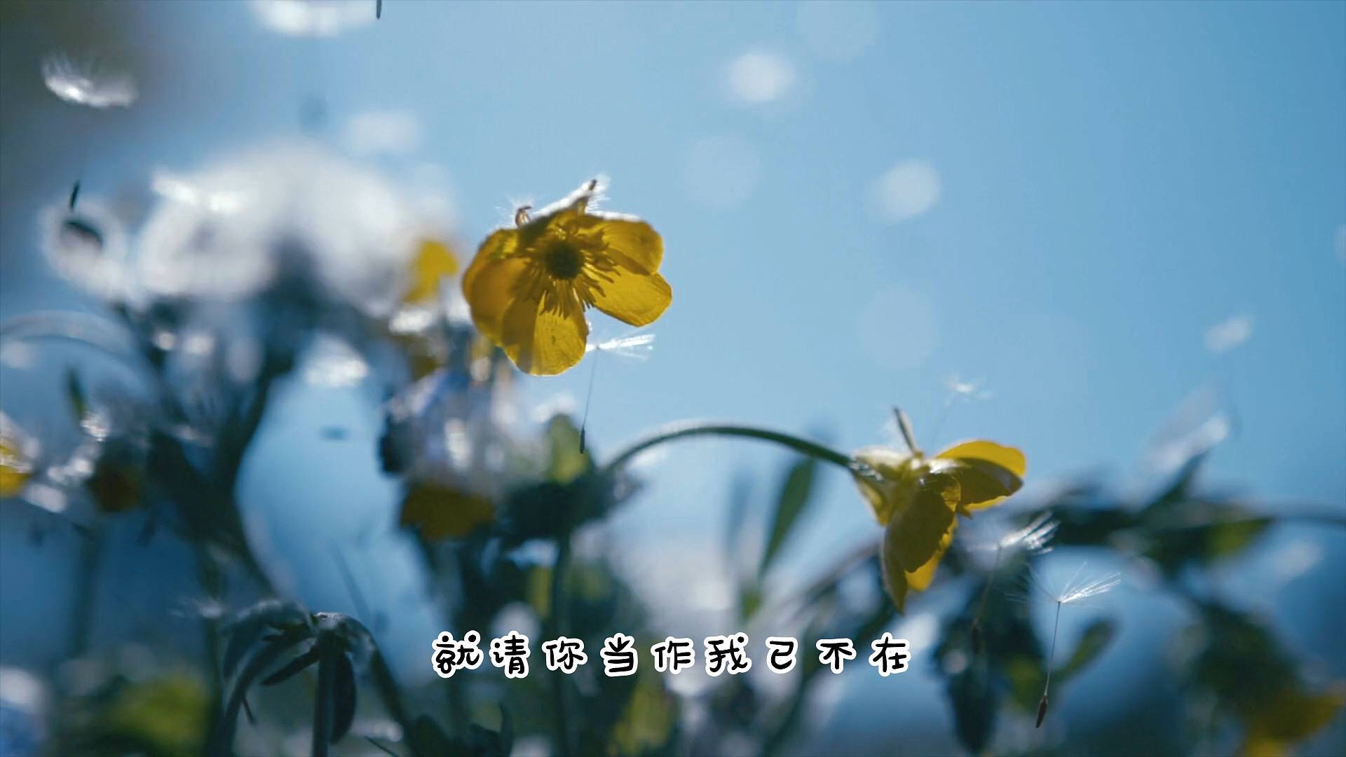 我只能永远读着对白，读着我给你的伤害，我原谅不了我，就请你当作我已不在……