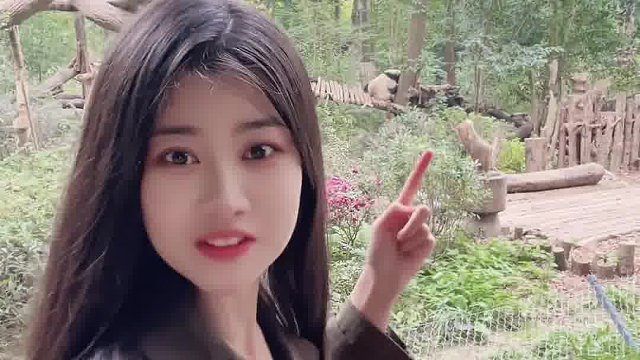 来成都看熊猫花花，没想到还有意外收获！