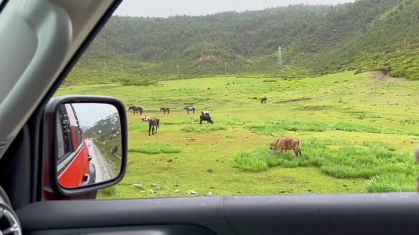 #感受大自然 #保持热爱奔赴山海 #身体和灵魂总有一个在路上