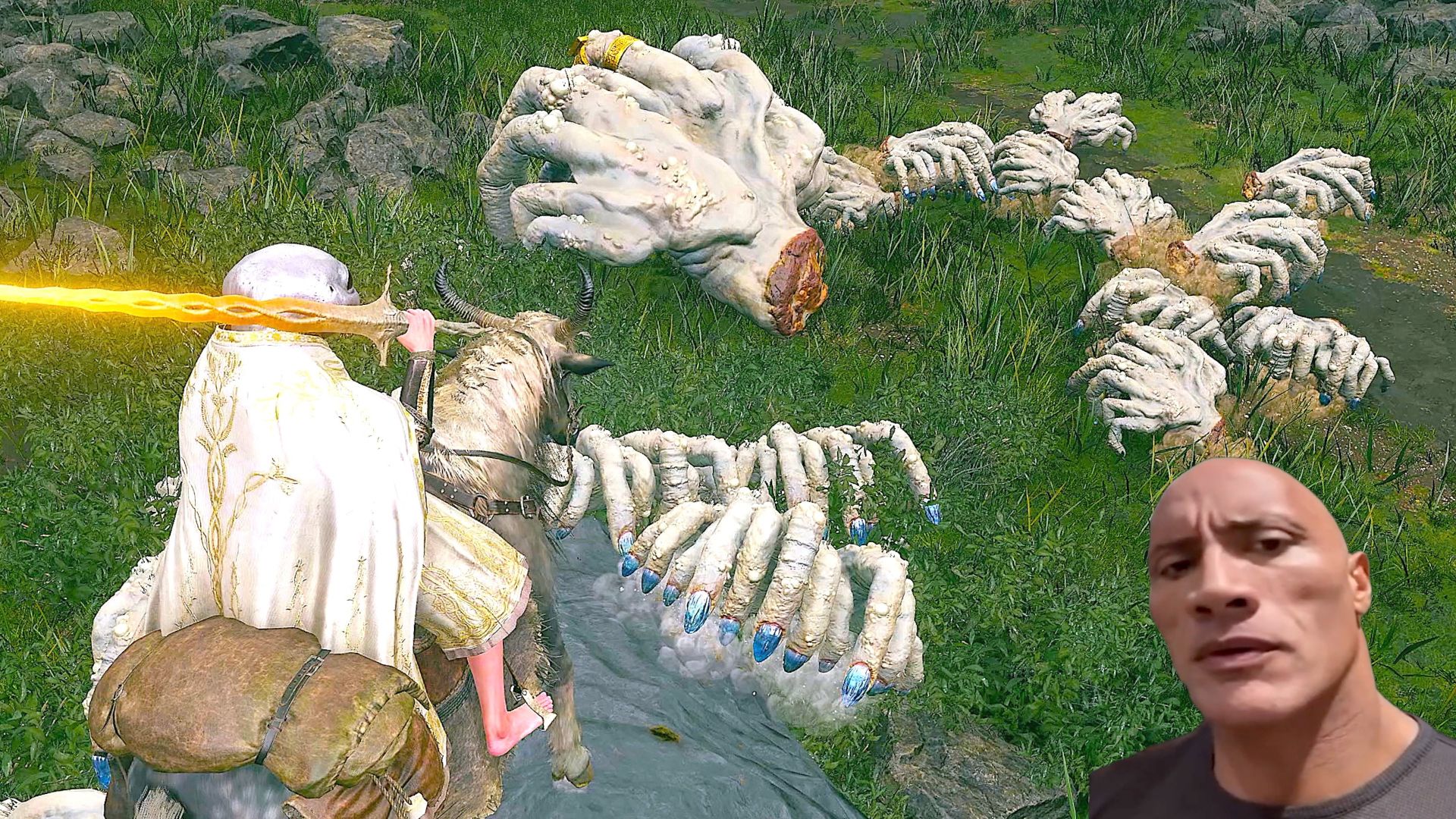 这就是传说的恶心萌吗 艾尔登法环 黄金树幽影