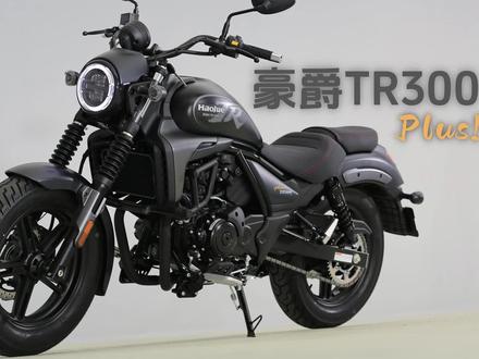 热门巡航再进化，豪爵TR300 plus抢先看 #豪爵 #TR300plus
