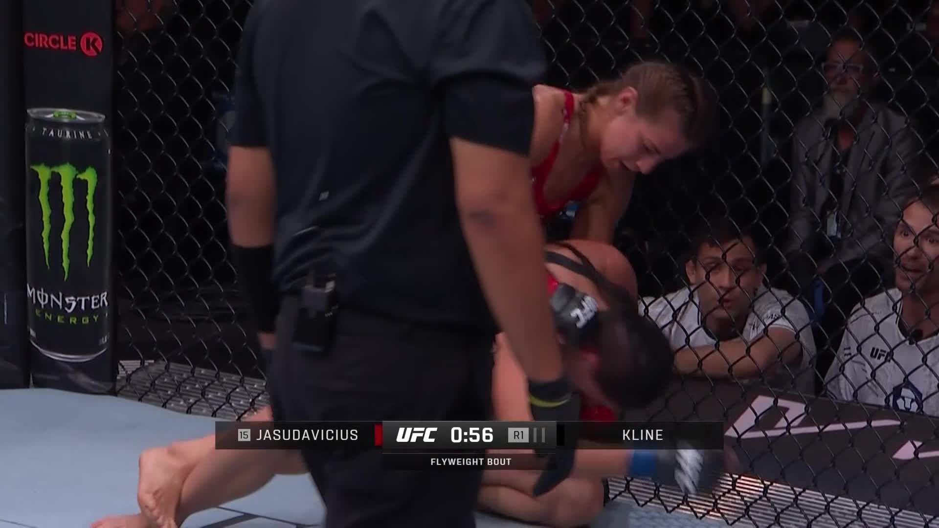 UFC on ESPN 59贾斯明·贾斯达维崔斯 VS 法蒂玛·克莱恩 清流