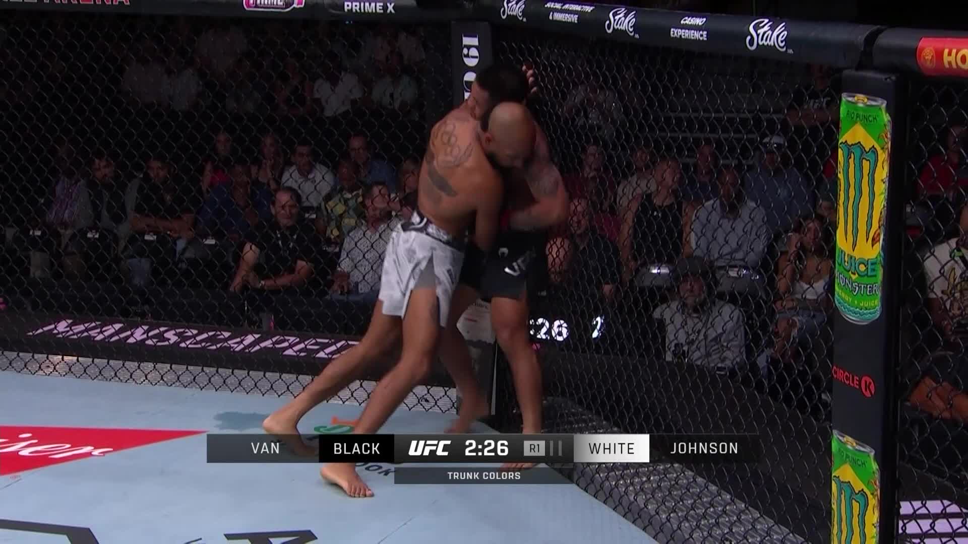 UFC on ESPN 59约书亚·范 VS 查尔斯·约翰逊 清流