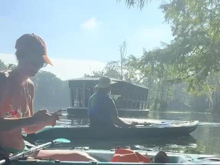 全是两米多长的鳄雀鳝 