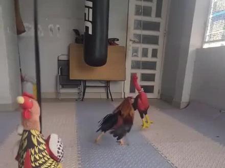 我发布了一个新视频，快来围观吧！