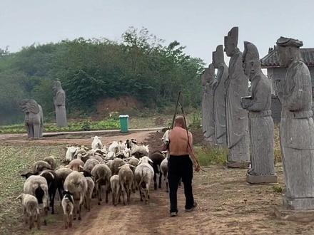 宋神宗永裕陵 雄心壮志的宋神宗一生短暂，好像做了很多事情，但又什么事情都没做。一代帝王陵如今成了麦田