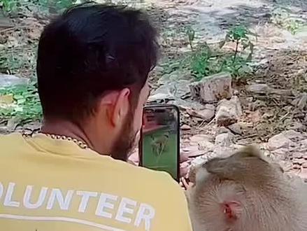 打工猴玩手机刷视频 