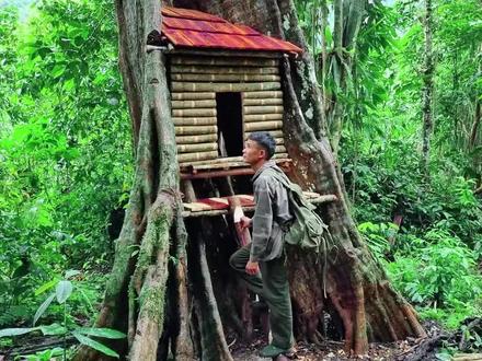 建造树上小屋露营过夜 #荒野建造 #野外建造 #庇护所