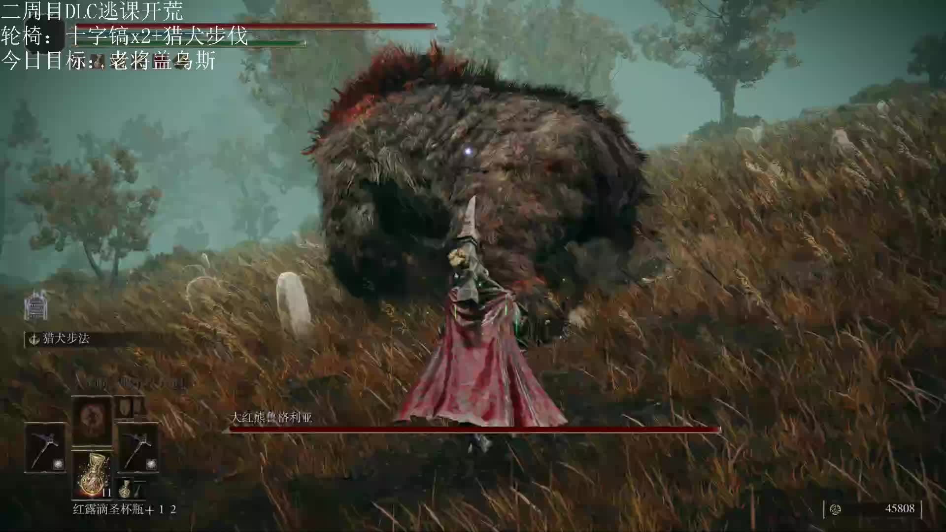 大红熊鲁格利亚