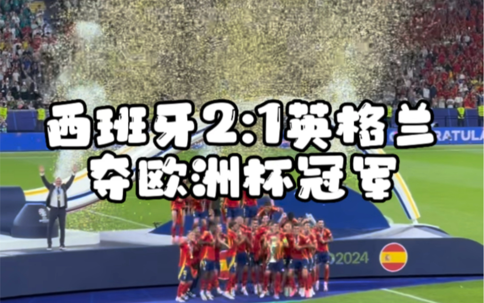 西班牙2:1英格兰夺得欧洲杯冠军