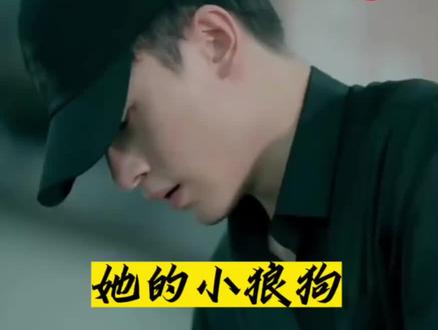 她的小狼狗