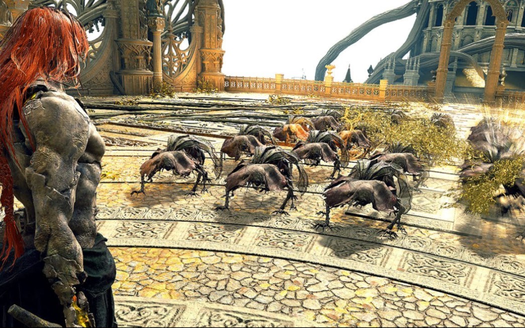 法环：40个苍蝇VS本体全BOSS