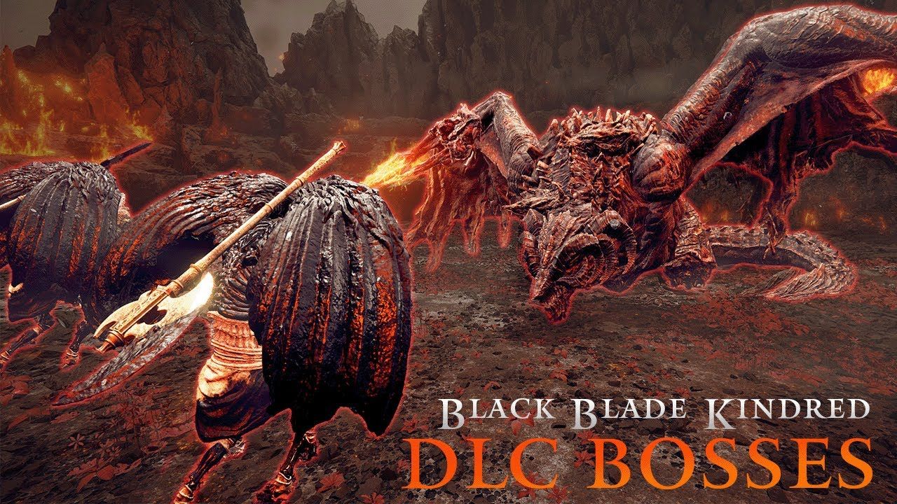 法环：哪个DLC BOSS能打过同加成的黑剑眷属双人组？