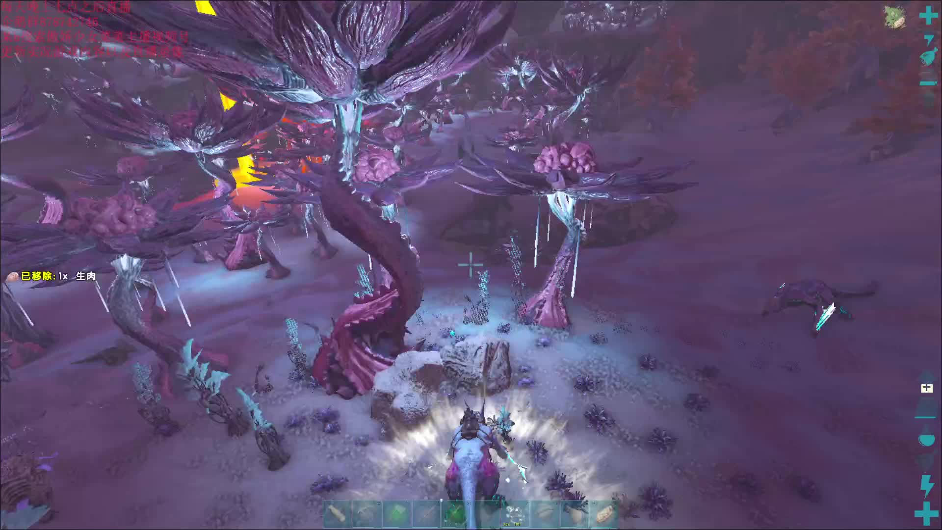 2024年7月15日直播录像3p