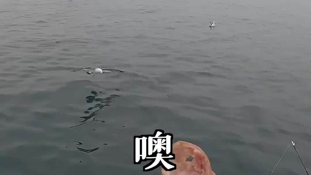 听说钓帝王蟹很赚钱？！帅小伙带女友立马前往俄罗斯。。 #大豪夫妇#白云山风油精#点滴清爽健康一夏