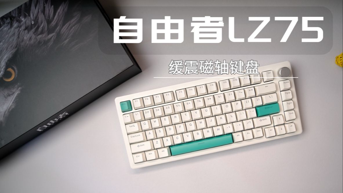 佳达隆磁轴 带缓震  最低399￥ 自由者LZ75上手  评论区三联ROLL一把