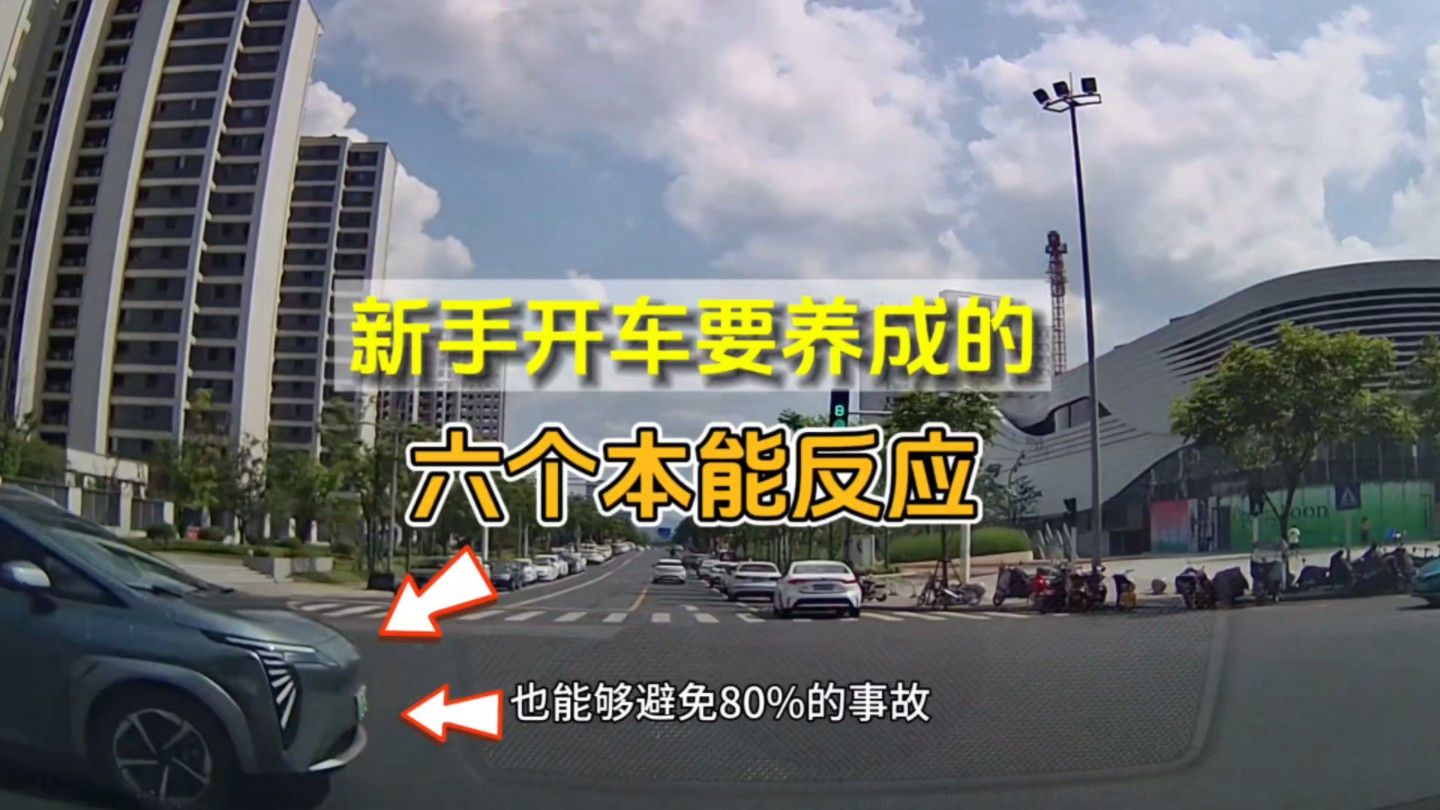 新手开车必须要养成的6个本能反应，这都是老司机实战经验