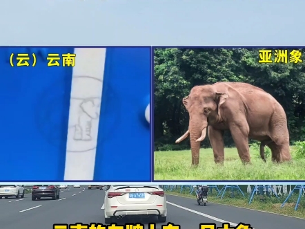 很多人不知道，汽车车牌上原来还有水印#汽车知识 #每天一个用车知识