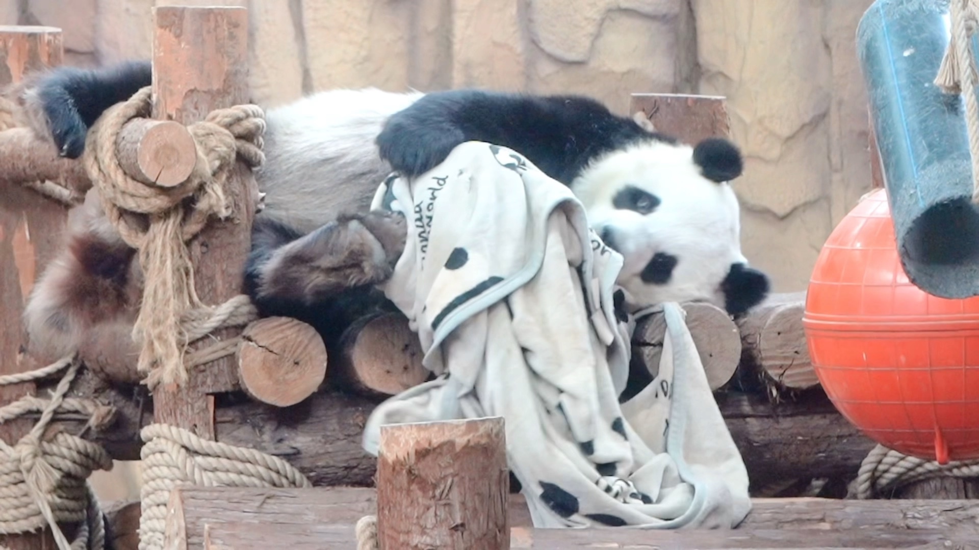 在空调房里面盖着被子睡觉！实在是太舒服啦！