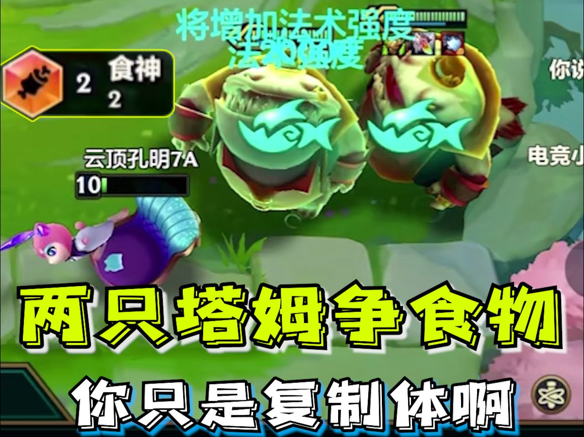 这就是双生塔姆吗